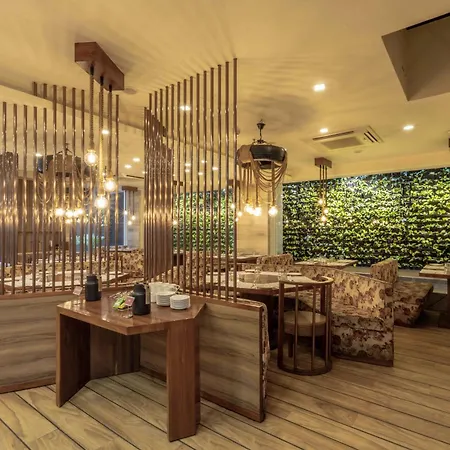 De Glance Hotel, Near Surat Railway Station-3