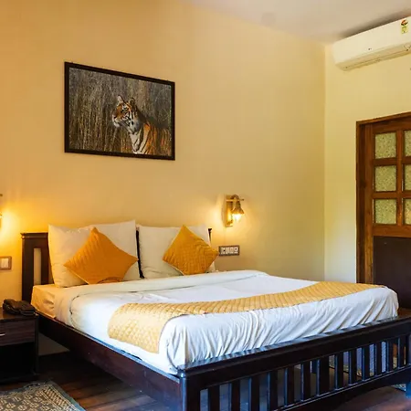Greetoe Camp Panna-3
