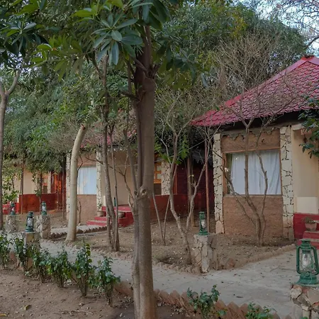 Greetoe Camp Panna-2