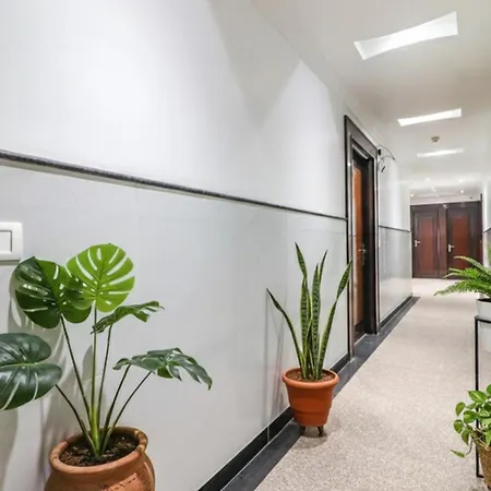 Fabhotel Rayplus-3