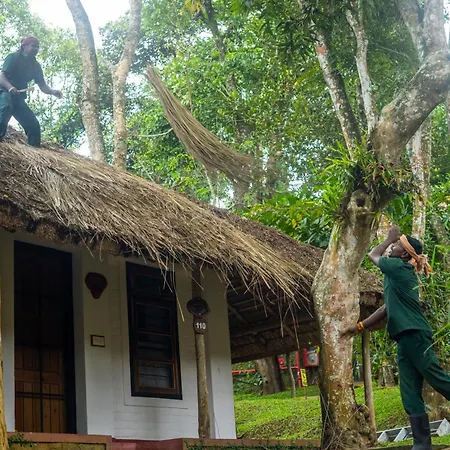 Spice Village Thekkady - A Cgh Earth Experience-2