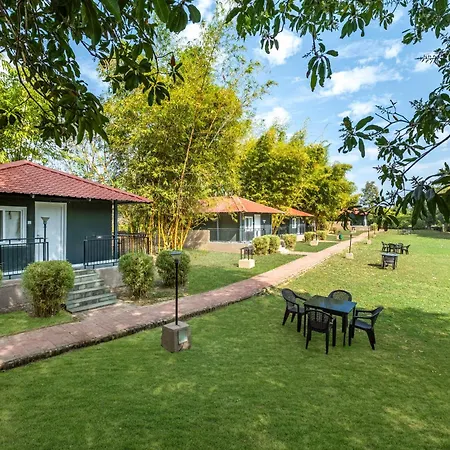 Sterling Kanha-3