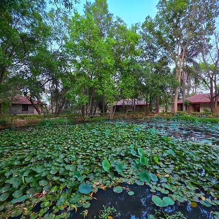 Tiger Trails Resort-3
