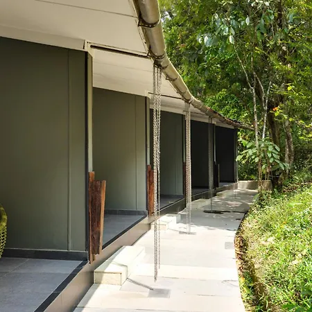 Wayanad Wild - A Cgh Earth Experience-2