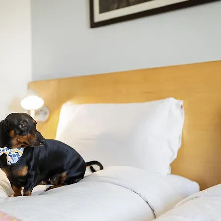 Ibis Bengaluru Hosur Road - An Accor Brand-3