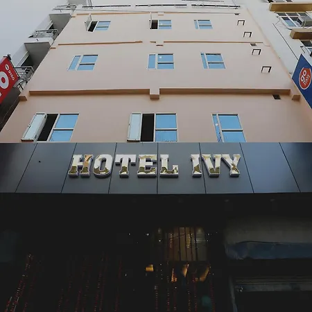 Hotel Ivy-3
