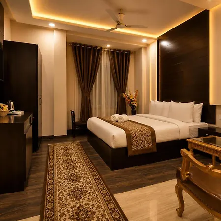 Hotel Kings Inn, Karol Bagh, New Delhi-2