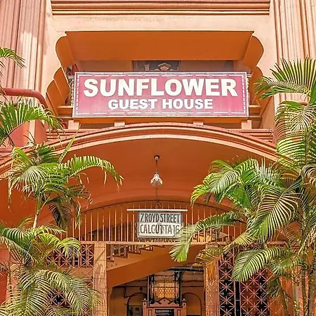 Sunflower Guesthouse-2