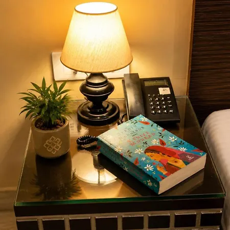 Smyle Inn - Comfort & Value Near New Delhi Railway Station - Since 1998-3