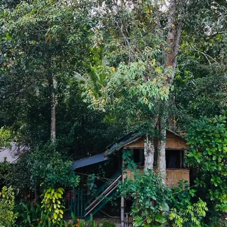 Fab - Bamboo Hut With Open Shower-2