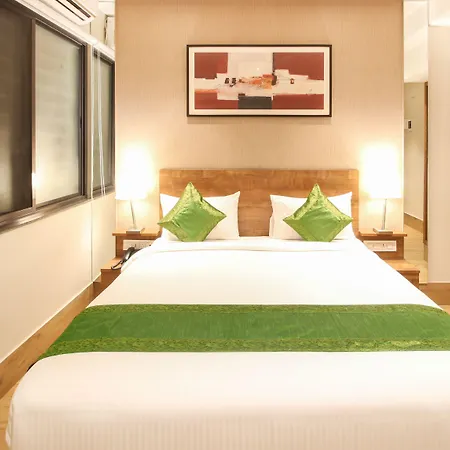 Treebo Elite Residency - 2 Kms From Railway Station-3