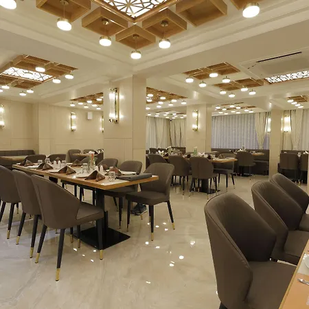 Hotel Elysian Residency-3