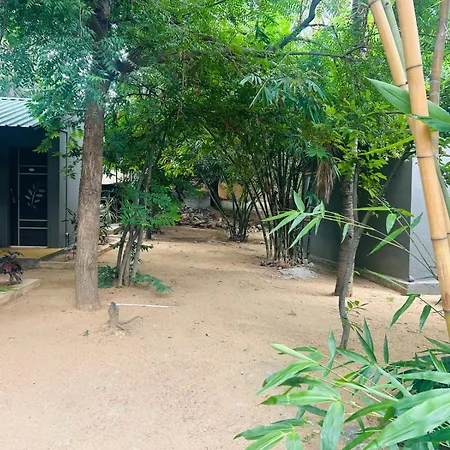 Hampi Village Jungle Resort-3
