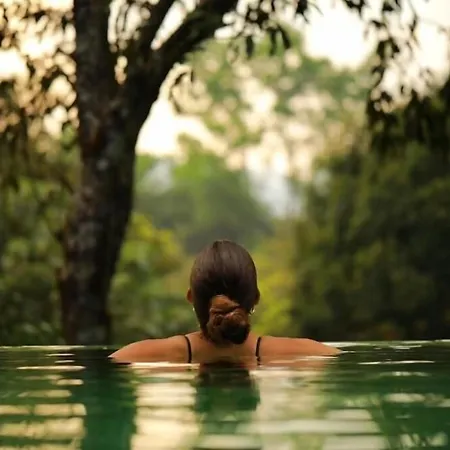 Wayanad Wild - A Cgh Earth Experience-3