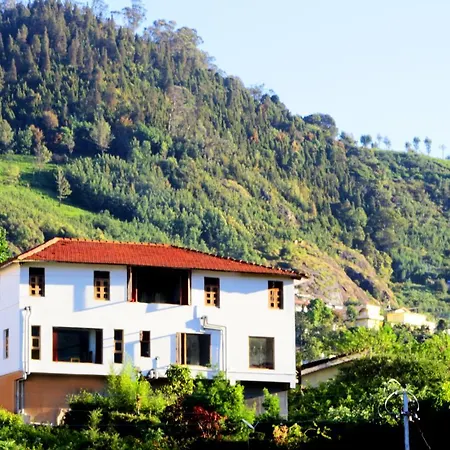 Satya Anand Pure Veg And Non Alcoholic Cottage-2