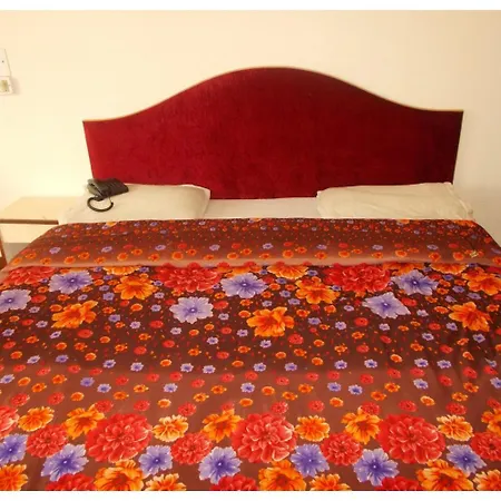 Hotel Mansarovar Palace-2