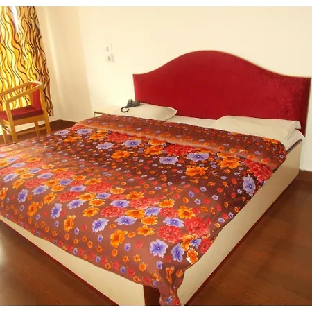 Hotel Mansarovar Palace-3