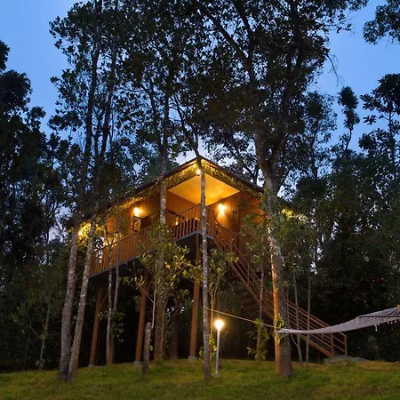 Spices Lap, Thekkady-2