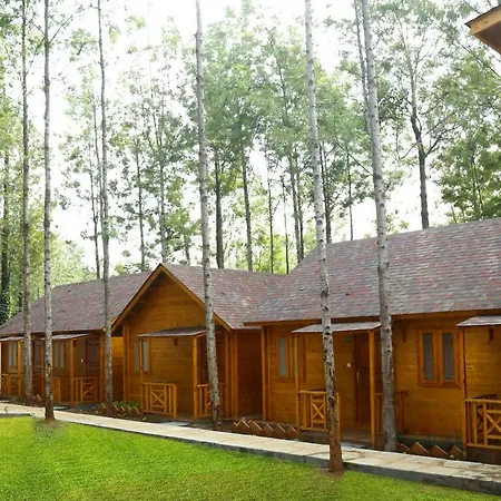Garden Wood Yercaud-3
