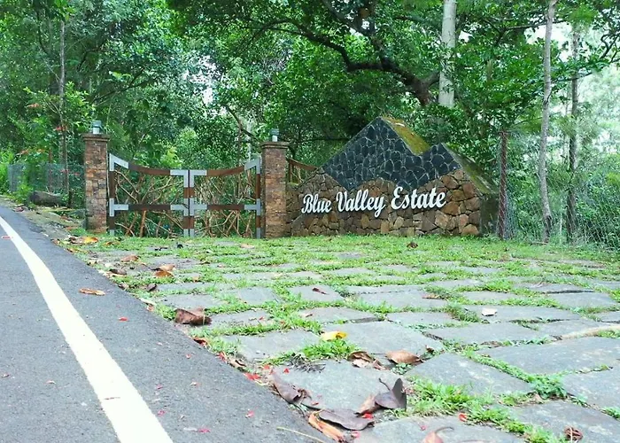 Blue Valley Estate-12 Acre Forest-Silver Oak-Villa