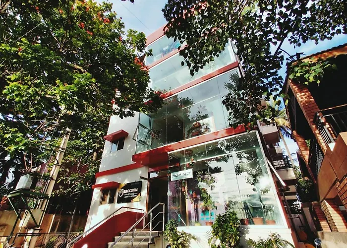 Raccoon Rooms Mysore