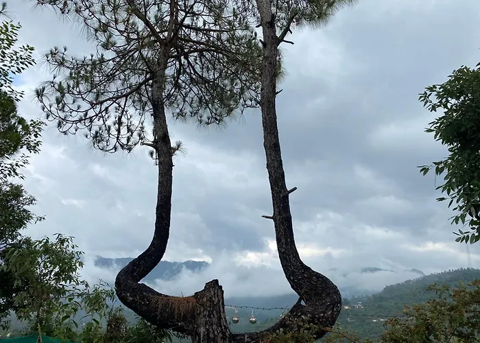 Dervish Stays, Mukteshwar