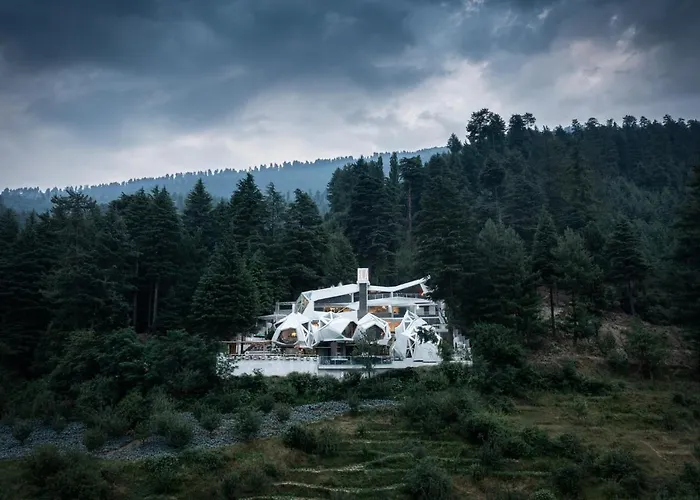 Tree Of Life Eila Art Hotel, Manali