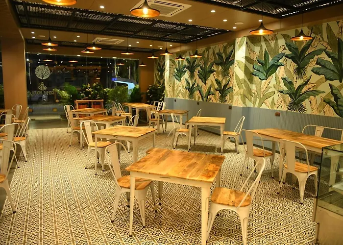 Hotel Blueivy Anand