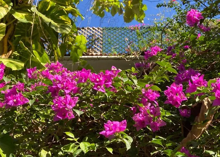 Villa Jacaranda