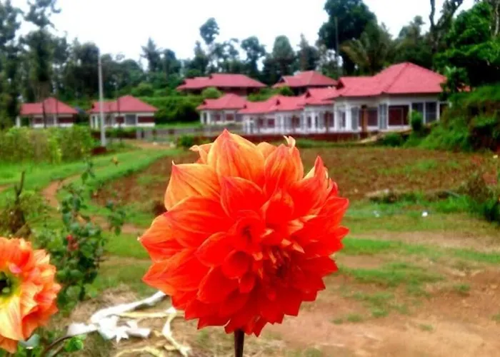 Himani Heritage Resorts, Formerly Camp Nishani Holidays