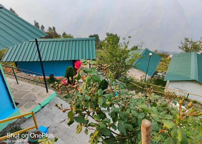 Auli Eco Nature Resort