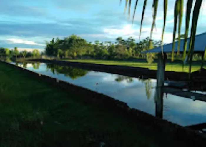 The Green Garden Retreat,Sulkapara