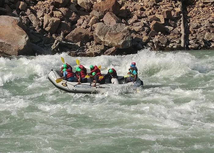 Live Free Hostel Rishikesh