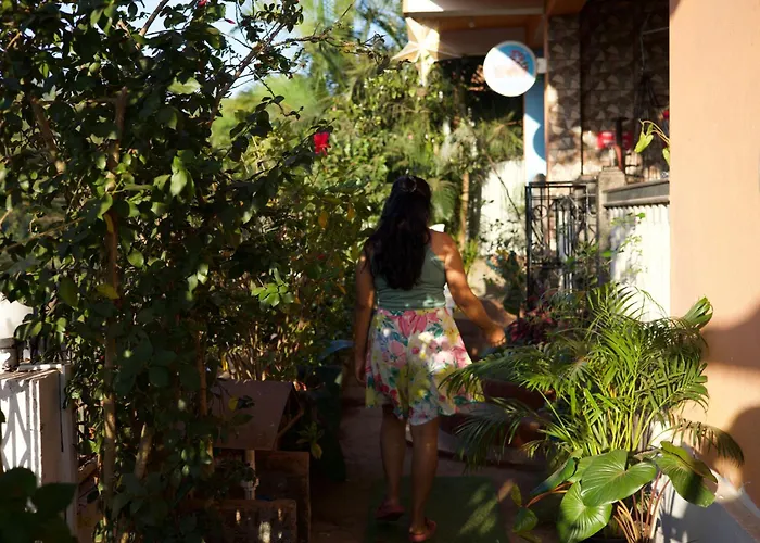 Last Minute Trip Hostel Morjim-By The Sea