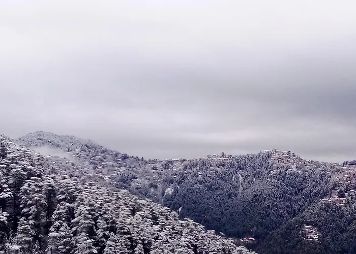 Shimla Regency