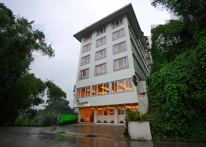 Cilantro Comfort Gangtok
