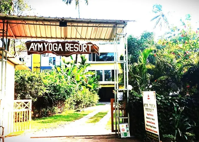 Aym Yoga Resort Arambol Goa