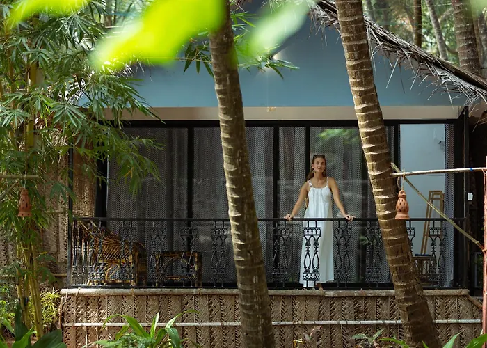 Palm Trees Ayurvedic Heritage