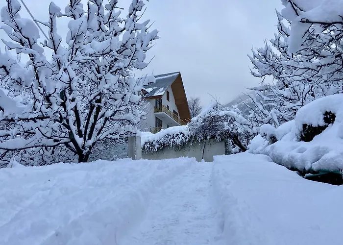 The Wooden Chalet, Manali