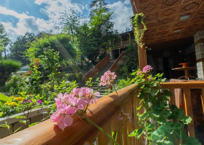 Hotel Negi'S Mayflower A Heritage Since 1965