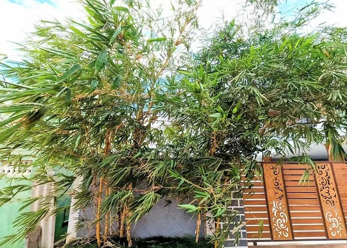 Coimbatore Premium Villa With Private Pool