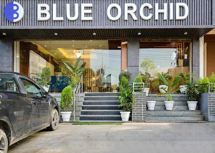 Townhouse 1255 Hotel Blue Orchid Zirakpur