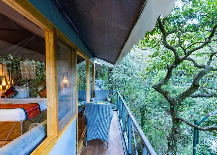 Ayar Jungle Resort