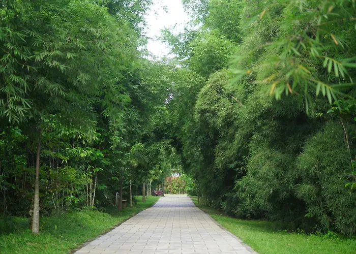 Coffee Greens Resort
