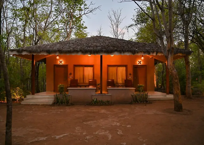 Saj In The Forest, Pench