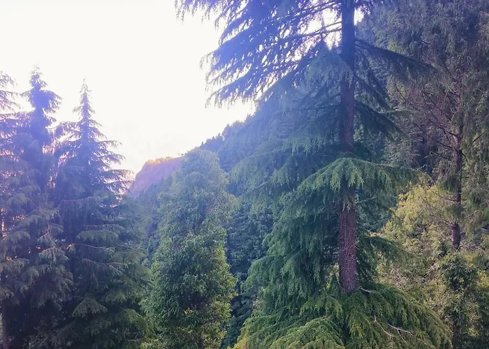 Cozy Heaven Home Stay Dalhousie-Near Fortune Park Itc Karelanu