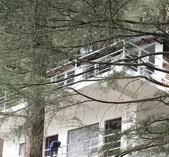 Himalayan Triund Mountain Trekkers And Waterfalls View Homestay