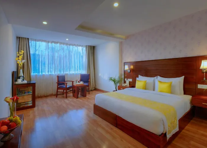Treehouse Chail Villas