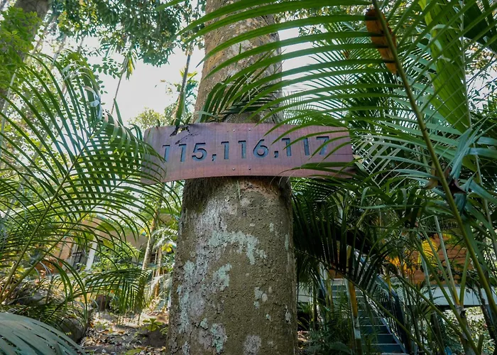 The Hive Wayanad