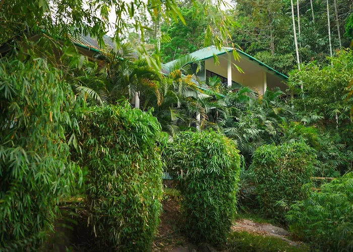 The Hive Wayanad